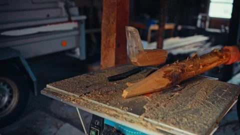 Small Tree Trunk Being Sharpened In A Table Saw Machine. Close-up Shot Stock Footage 337404715