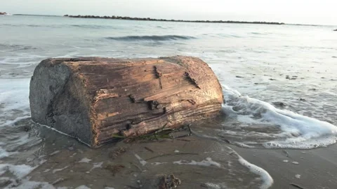 Small tree trunk partially submerged by gentle waves on the sandy shore Stock Footage 304972474