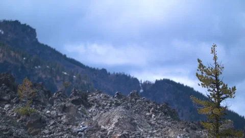 Small Tree in Vocalnic Rock Stock Footage 90528434