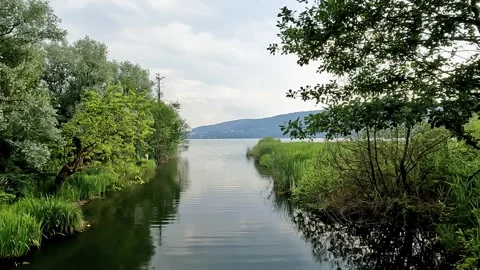Small tributary of Lake Comabbio on a summer day Stock Footage 321661451
