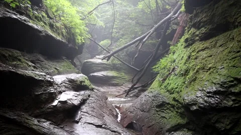 A small trickle of water runs through large mossy boulders 動画素材 338190962