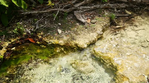 Small tropical brook in the rainforest Stock Footage 64737139