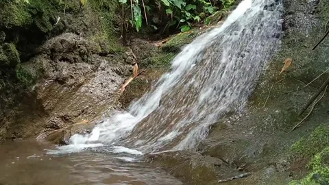 Small Tropical Forest Waterfall Flowing Over Rocks Fresh Clear Stream Stock Footage 329779485