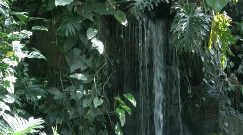 Small tropical waterfall (1 of 4) Vidéo 20501902