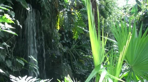 Small tropical waterfall (2 of 4) Vidéo 20502048