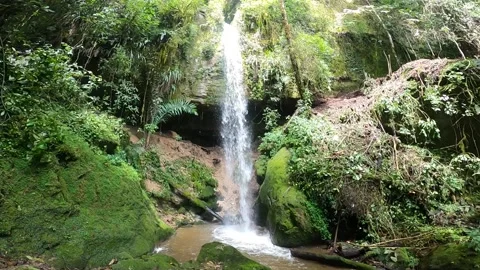 Small tropical waterfall revealed behind rock Vídeo Stock 205610316
