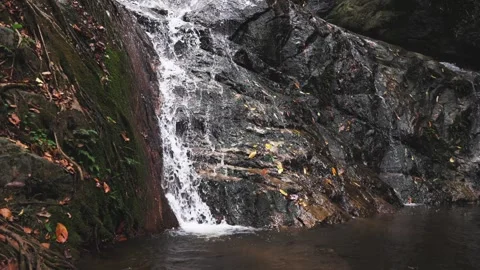 Small tropical waterfall running down black stone wall surrounded in rainforest Stock Footage 309272964