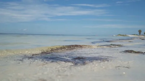 Small Tropical Waves [4K] Stock Footage 80007448