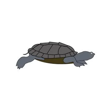 Small turtle Illustrazione stock