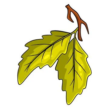 A small twig with two oak leaves. Cartoon style. Stock Illustration