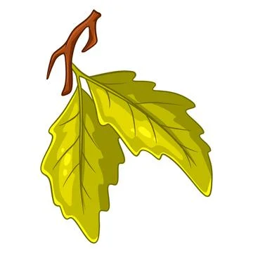 A small twig with two oak leaves. Cartoon style. Stock Illustration