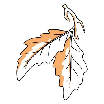A small twig with two oak leaves. Line style. Stock Illustration