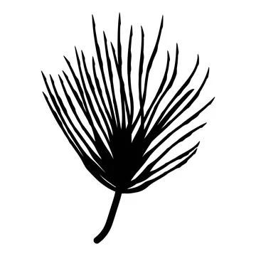 Small upright tuft of pine needles, simple evergreen botanical accent for m.. Illustrazione stock
