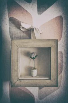 Small vase with rose inside a small picture frame. Stock Photos