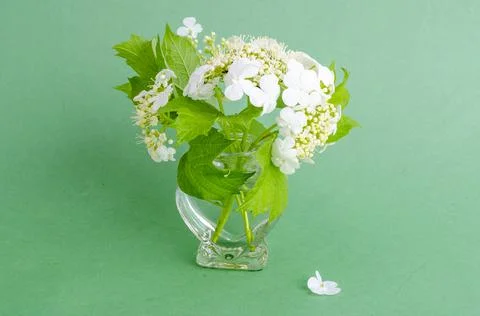 Small vase with sprigs of white flowers with green leaves. Stock Photos
