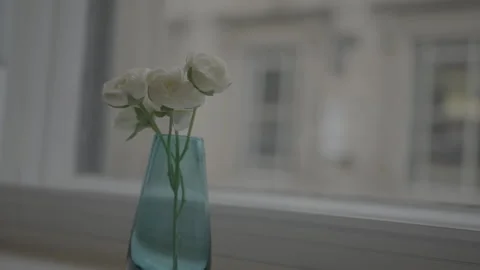 Small Vase with White Flowers on a Windowsill Stock Footage 344604175
