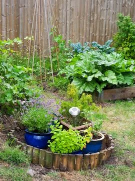 A small vegetable plot and herb garden Stock Photos