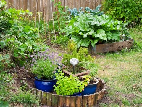 A small vegetable plot and herb garden Stock Photos