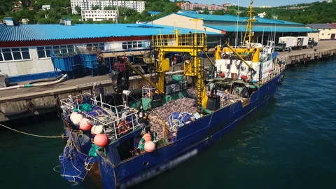 Small vessel full of fish moored in the port. The pier, the trucks and the crane Stock Footage 85676438