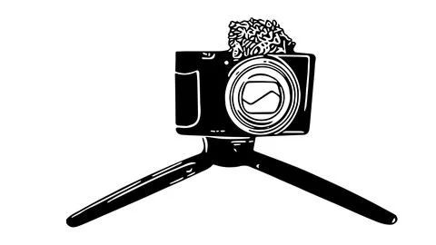 Small video camera with windscreen on a small tripod. Illustration shows outl Stock Illustration