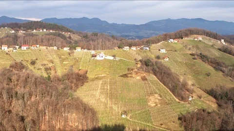 Small vineyard hill in the sun Stock Footage 100290311