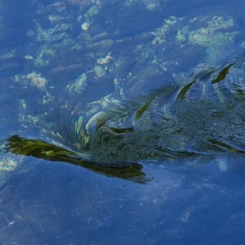 Small vortex / Whirlpool Stock Footage 69570430