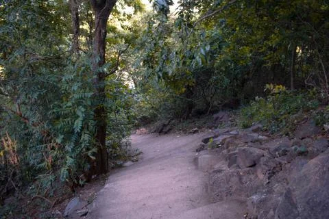 A small walkway with steps moving down the hill in between a dark forest Stock Photos