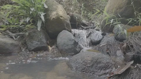 Small Water Cascade Flowing Through Mossy Stones Stock Footage 345471217
