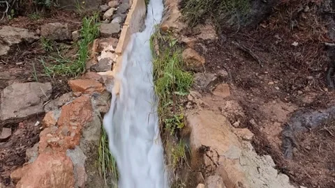 Small water channel in the forest Stock Footage 332794400