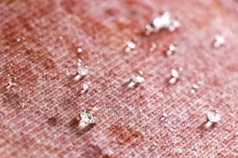 Small Water Droplets Formed Into Tiny Balls On Textured Carpet Background. Stock Photos