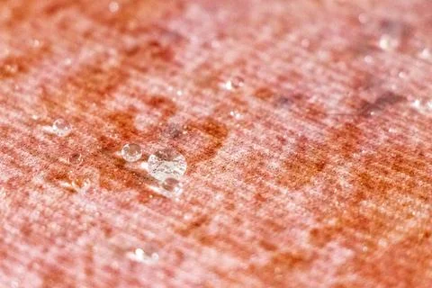 Small Water Droplets Formed Into Tiny Balls On Textured Carpet Background. Stock Photos