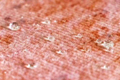 Small Water Droplets Formed Into Tiny Balls On Textured Carpet Background. Stock Photos