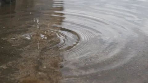 Small Water Drops After Rain Stock Footage 246085145