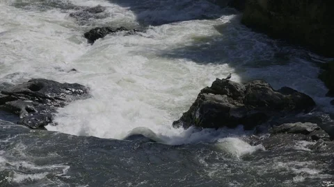 Small water fall Stock Footage 74831854