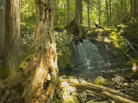 Small Water Fall Stockbeeldmateriaal 78441673