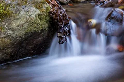 Small water fall in forest Stock Photos