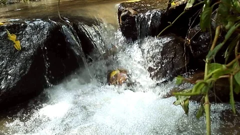 Small water fall on small river stream on mountain 스톡 동영상 124770756