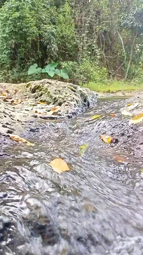 Small water flow 10 Stock Footage 207971809