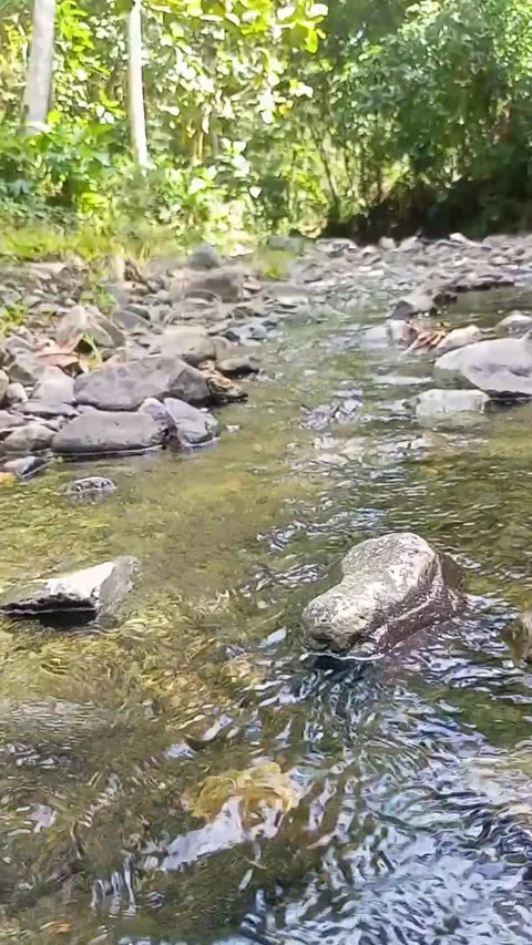 Small water flow 12 Stock Footage 207971942