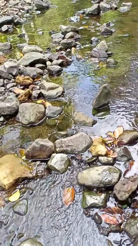 Small water flow 13 Stock Footage 207971999