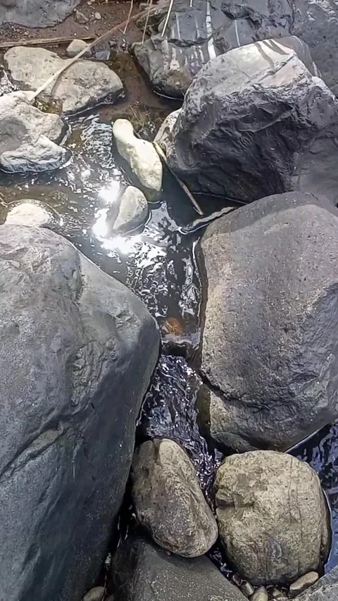 Small water flow 14 Stock Footage 207973714