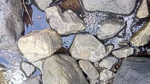 Small water flow 16 Stock Footage 207973724