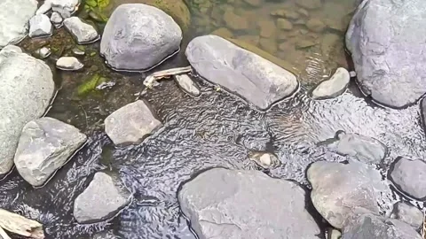 Small water flow 17 Stock Footage 207974083