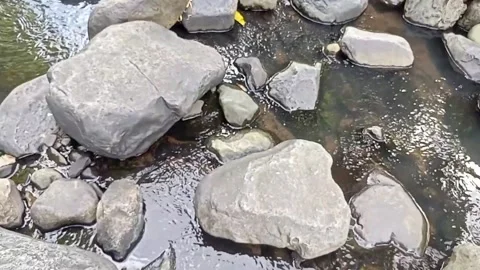 Small water flow 19 Stock Footage 207974126