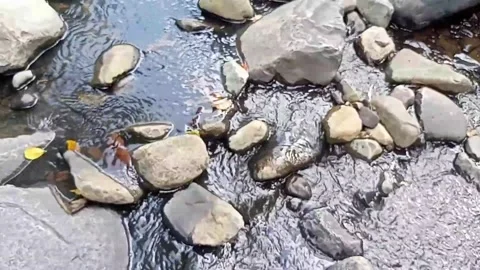 Small water flow 2 Stock Footage 207953417