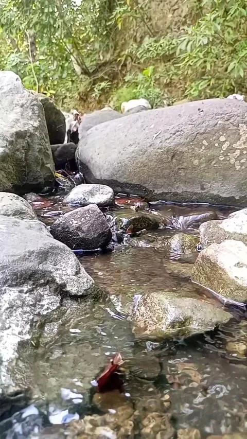 Small water flow 23 Stock Footage 207978444