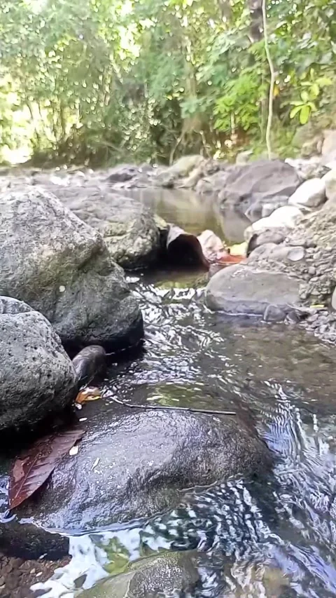 Small water flow 25 Stock Footage 207978557