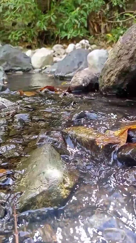 Small water flow 26 Stock Footage 207978580
