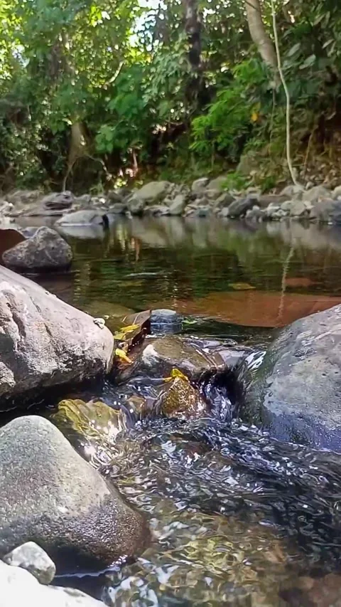 Small water flow 27 Stock Footage 207978915