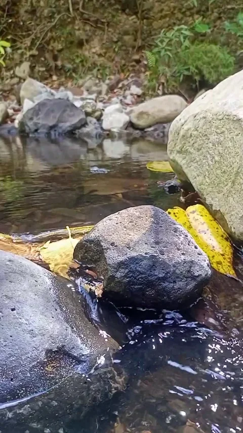 Small water flow 28 Stock Footage 207979407